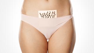 Intimrasur einer Dame (mit Unterhose an)